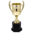 thumbnail image 1 of Kids Award Trophy Cup Kids Classroom School Reward Sports Competition Trophy, 1 of 8