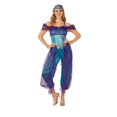 thumbnail image 1 of Jeweled Genie Women's Costume, 1 of 1