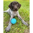 thumbnail image 4 of Chuckit! Fetch Ball 2-Pack Medium Durable Rubber Ball Dog Toy, 4 of 6