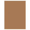 thumbnail image 3 of SunWorks Papier de Construction, Assortiment Brun Pâle (50 Feuilles), 3 of 7