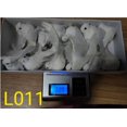 thumbnail image 3 of 12PC Simulation Bird White Bird Feather Bird Tied Branch Bird, 3 of 8