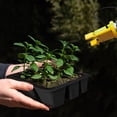thumbnail image 5 of Binwennn Organic Pumpkin Butter 20 Lb 6 Hole Silicone Deep Root Control Seedling Tray Reusable & Shockproof Pots, 5 of 5