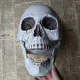 thumbnail image 3 of Halloween  Artificial Skull Head Model Skull Bone Scary Horror Skeleton Ornament, 3 of 5