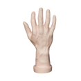 thumbnail image 3 of Bunblic Hand Model Jokes Toy Lifelike,Photo Props,Fake Hand Mannequin Hand for Cosplay Decoration Jewelry Display Party Nail Training skin, 3 of 8
