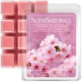 thumbnail image 1 of Cubes de cire parfumée Paquet économique ScentSationals - Fleurs De Cerisier, 1 of 6
