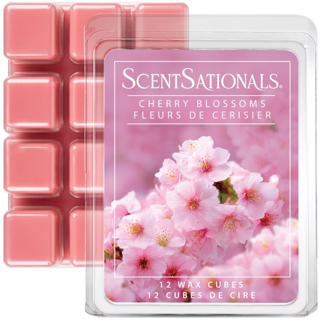 Cubes de cire parfumée Paquet économique ScentSationals - Fleurs De Cerisier