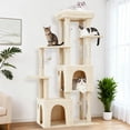 thumbnail image 2 of EDTara 61" Cat Tree Tower, Sturdy Modern Multi-Level Cat Furniture for Maine Coons and Large Indoor Cats With Jumbo Perch, 2 Spacious Condos, Durable Sisal Posts, and Hanging Play Balls, 2 of 7