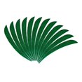 thumbnail image 1 of 12pcs 3 " Feather Turkey Paddles Paddles - Dark Green, 1 of 9