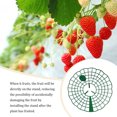 thumbnail image 3 of Baohd Strawberry Supports Stand Frame Tool Set Plant Holder Fruit Climbing Vine Pillar Rack Round Keeping-Fresh Ground Circle for 15pcs, 3 of 9