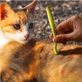 thumbnail image 3 of Outil Anti-Tiques Sécuritaire pour les Animaux de Compagnie, Tique et les Humains, Orange, 3 of 3