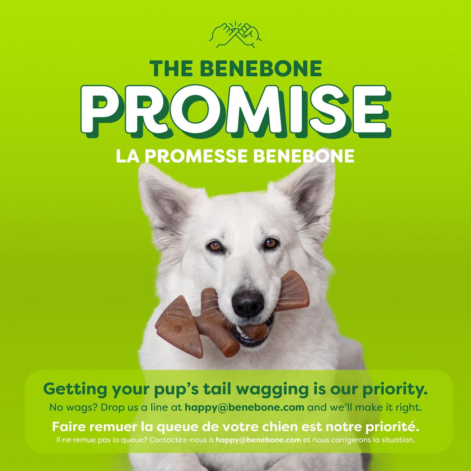Benebone Essentials Poisson M/G