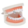 thumbnail image 2 of segolike 18K Golden Plated Single Grill Hip Hop Halloween -, 2 of 9