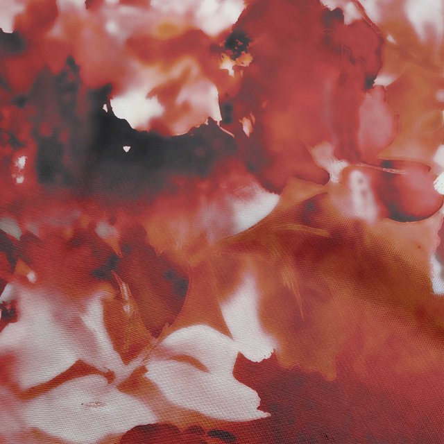 oneOone Rayon Maroon Fabric Abstract-Blurred Floral Pattern Craft Projects Decor Fabric Printed By The Yard 56 Inch Wide