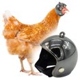 thumbnail image 2 of Funny Chicken Helmet for Pets, Adjustable Protective Hat for Hens, Ducks - Durable Plastic & Bright Colors, 2 of 8