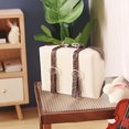 thumbnail image 4 of 2 Pcs Mini Malle Vintage Maison de Poupée Valise Miniature Valise Mini Maison Valise Maison de Poupée Miniatures, 4 of 8