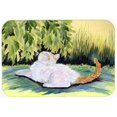 thumbnail image 1 of Carolines Treasures SS8273CMT 20 x 30 in. Cat Kitchen Or Bath Mat, 1 of 1