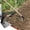B, variante sur Liquidation Aujourd'hui! Outils Agricoles d'Extérieur, Pelle de Forge et de Désherbage, Outil de Jardin Robuste pour Planter des Légumes et des Fleurs, Petite Pelle et Pelle de Jardin pour la Maison Offres du Jour en Liquidation!