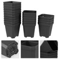 thumbnail image 3 of 20pcs Succulent Plant Flower Pot Plastic Nursery Pots Flower Plant Starter Pots, 3 of 8