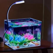 Royalbelle Large Fish Tank Ultra-Clear Rimless Desktop Aquarium Kit,LED Clamp Light,Starter Betta Fish Tank with Light,Room Decor Gift for Small Fish Tank +3w Light,Large