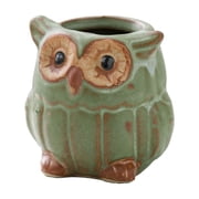 FUYPSE 2026 New Arrivals 1PC Owl Planter Pot Succulent Ceramics Planters Mini Small Plant Pots Tabletop Decorations for Indoor Plants Home Office Garden Flower Pot Gifts