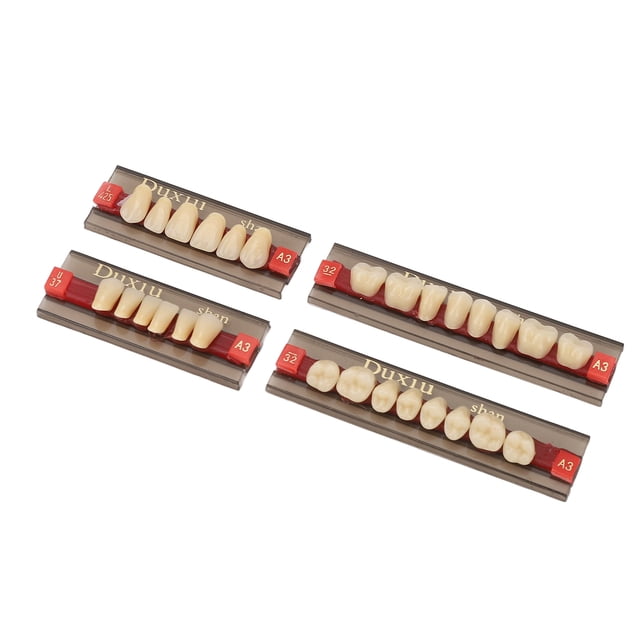 Dentier en Résine, Dentier en Résine Synthétique Résine Fausses Dents Haute Performance