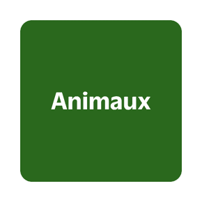 Cadeaux pour animaux