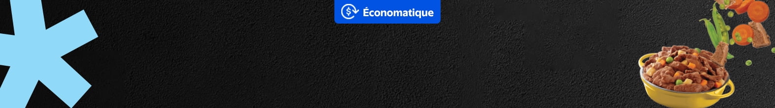 Économatique