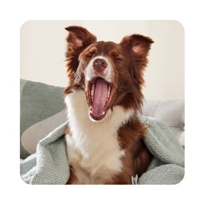 Shop pet essentials for your home