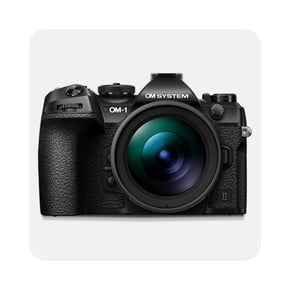 Mirrorless cameras