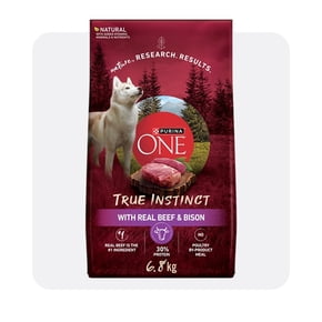 Shop Purina ONE beef and bison dog food 6.8 kg