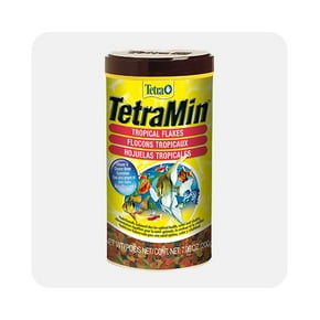 Fish food & treats