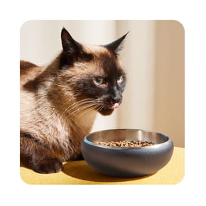Shop cat food and supplies
