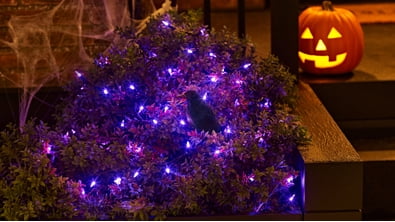 Light up the fright