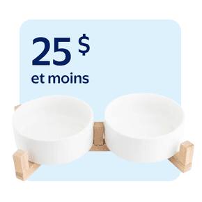 Bols et distributeurs pour chiens