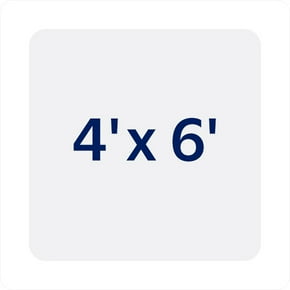 Shop 4 by 6 foot rugs selection
