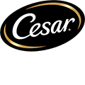 Cesar