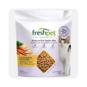 Nourriture pour chats recette au poulet