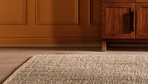 Living room rugs $100 & under