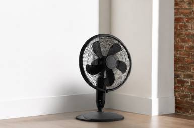 Chill out with fans