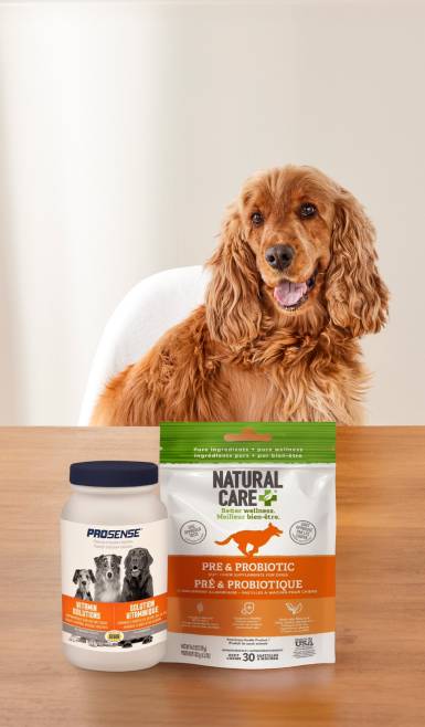 For healthy furry friends