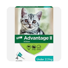 Cat flea and tick treatment