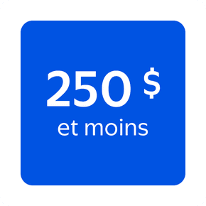 Magasinez articles à 250 $ et moins