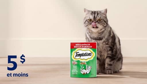 Gâteries pour minou à 5 $ et moins