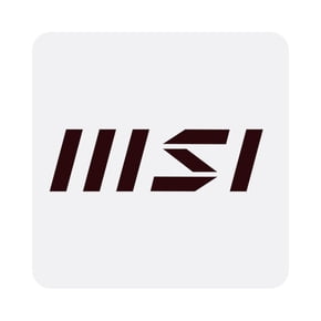 MSI