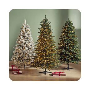 Christmas trees