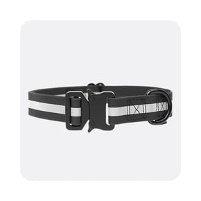 Shop pet collar
