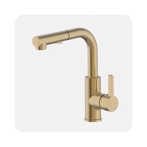 Shop kitchen faucet