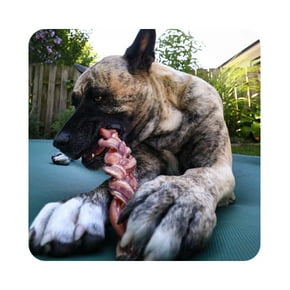 Giant dogs