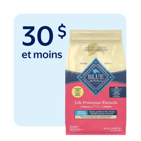 Nourriture sèche pour chiens