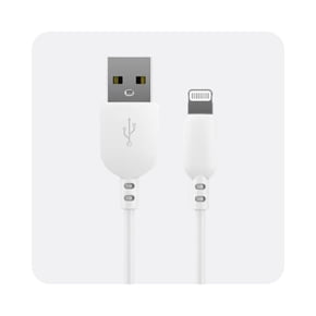 Chargeurs Lightning